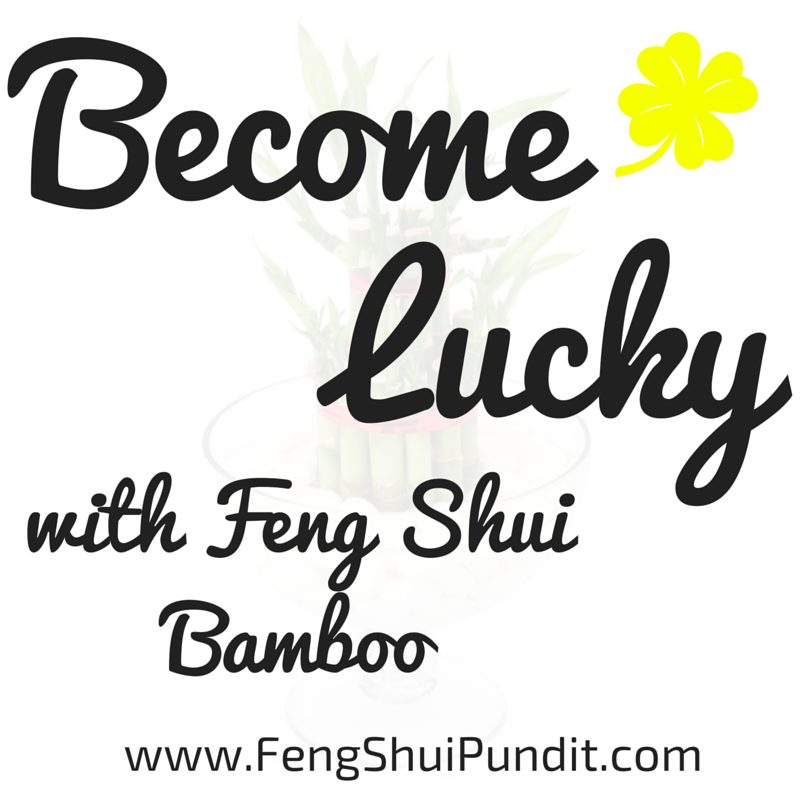 Feng Shui Bamboo Plant Luck